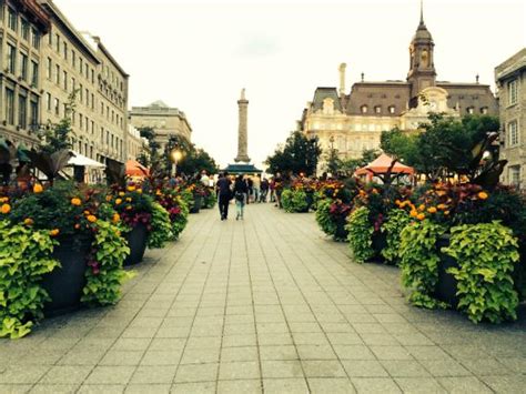 place jacques cartier reviews.